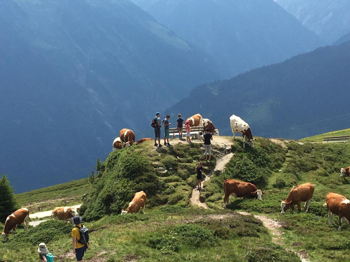 Landhaus Zillertal Ramsau im Zillertal Exterior foto
